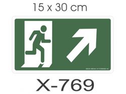 X - 769