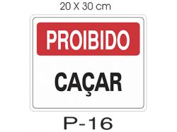 P - 16