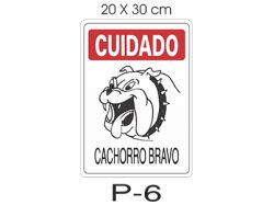 P - 6